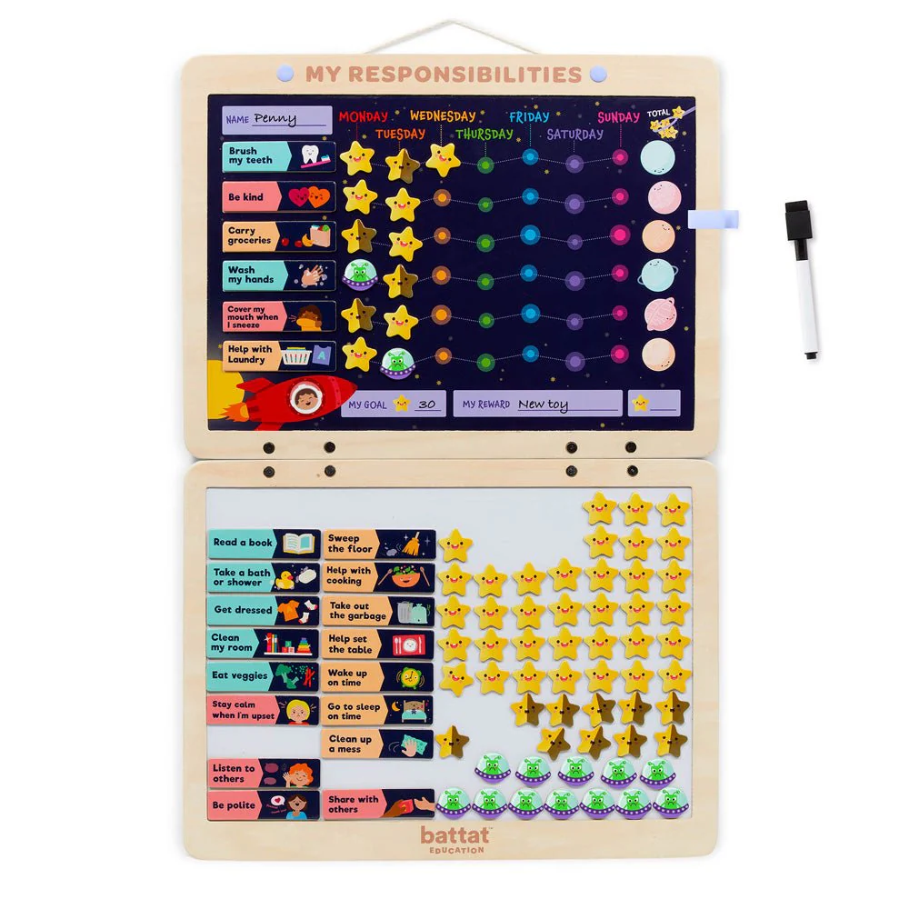 Magnetic Responsibility Chart - Image 42