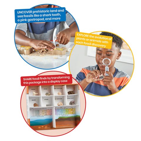Dig & Display Fossils Science Lab Kit - Image 4